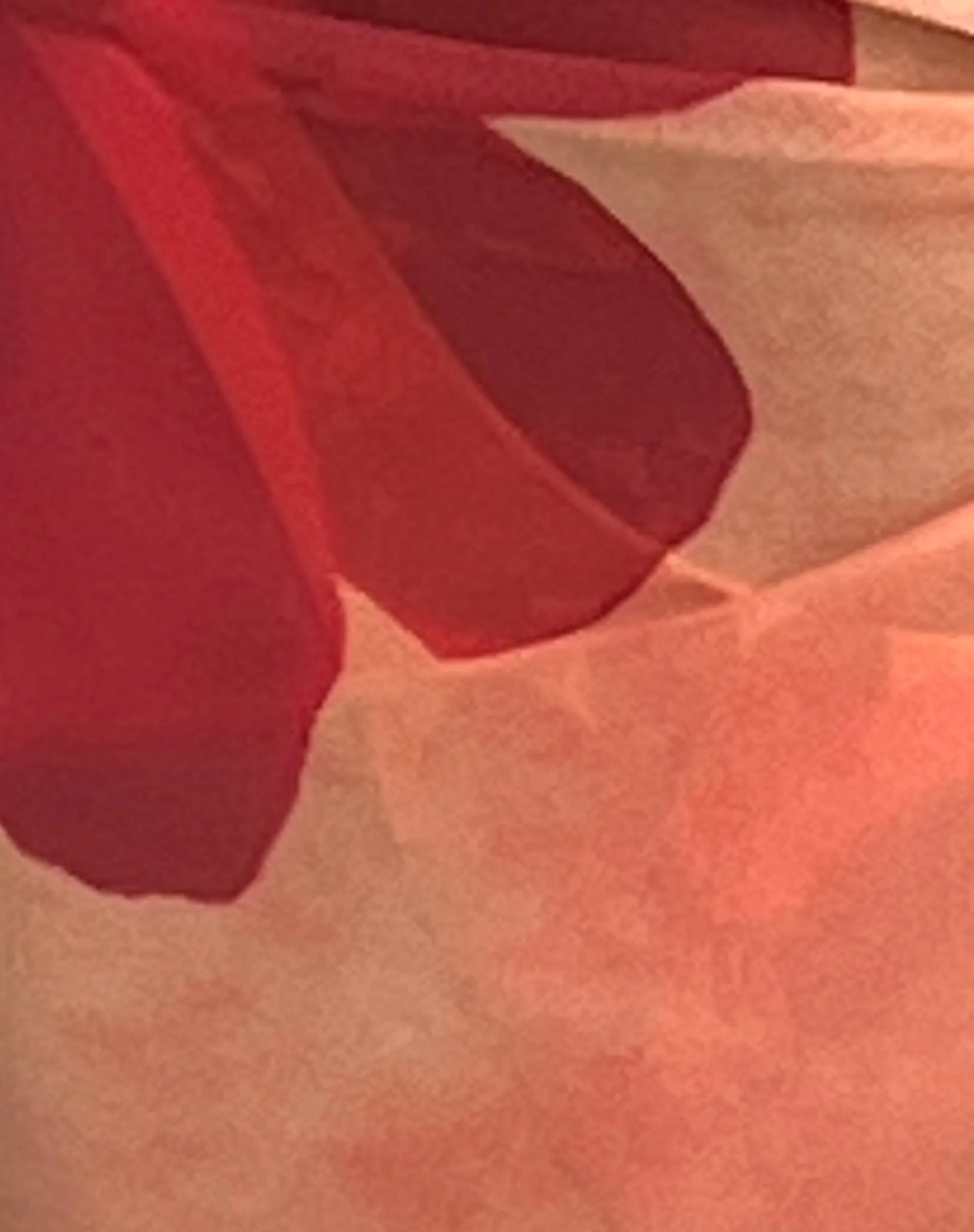 Pawon Mesh Sarong in Orange Flower